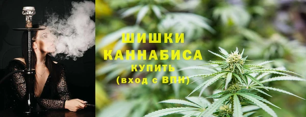 гидра Лагань