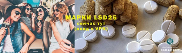 ешки Алзамай
