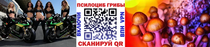 закладки  Бавлы  mega зеркало  Псилоцибиновые грибы Magic Shrooms 